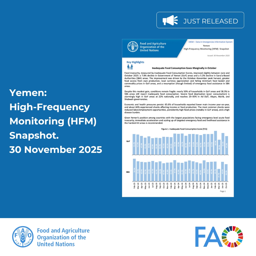 FAO in Yemen tweet media