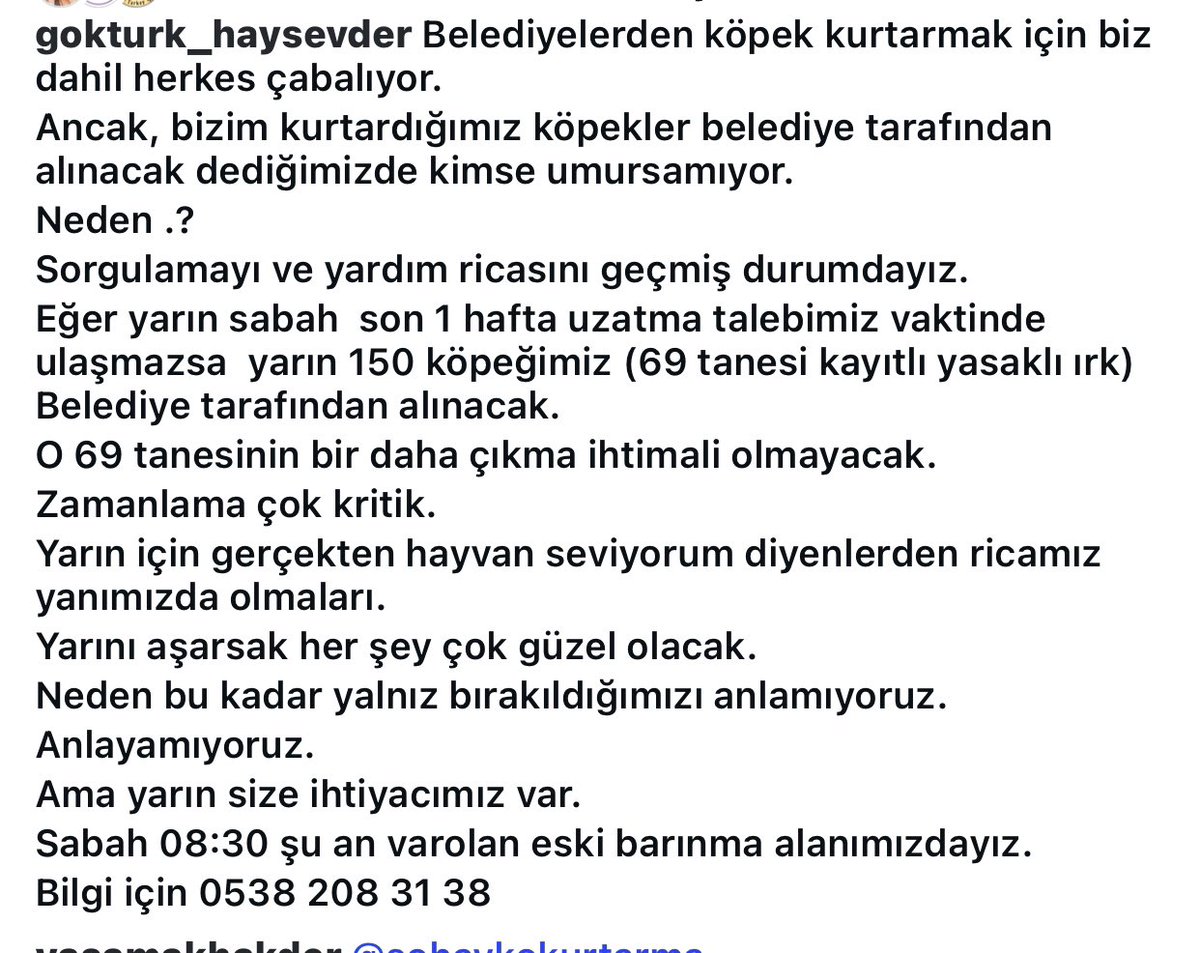 Istanbul’da  Göktürk Haysevder,
yeni alanına taşınma aşamasında destek bekliyor, yeni alan henüz bitmeden belediyenin kendilerine verdiği süre bitmiş, en fazla bir kaç gün vakitleri var, bu canları belediye almasın🙏

#SokakHayvanlarıSahipsizDeğil