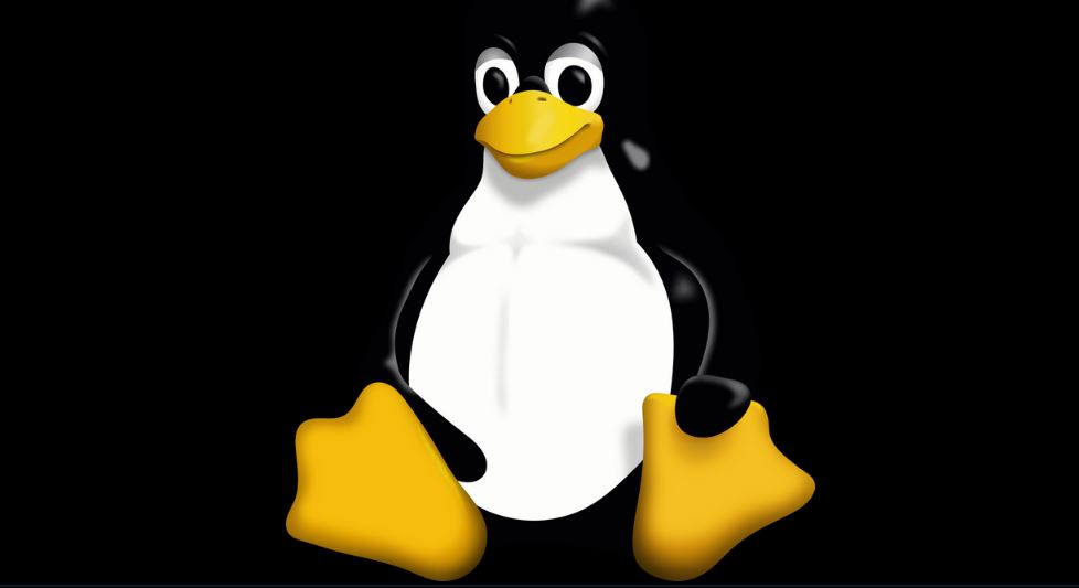 3dfxzone's tweet image. The Linux Kernel Organization rilascia il Linux Kernel 6.18: info e download | 3dfxzone.it/news/reader.ph…

#Linux #kernel #distribution #Download #ISO #DVD #desktop #serverupdate