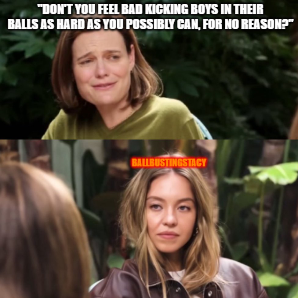 BallbustingStacy tweet media