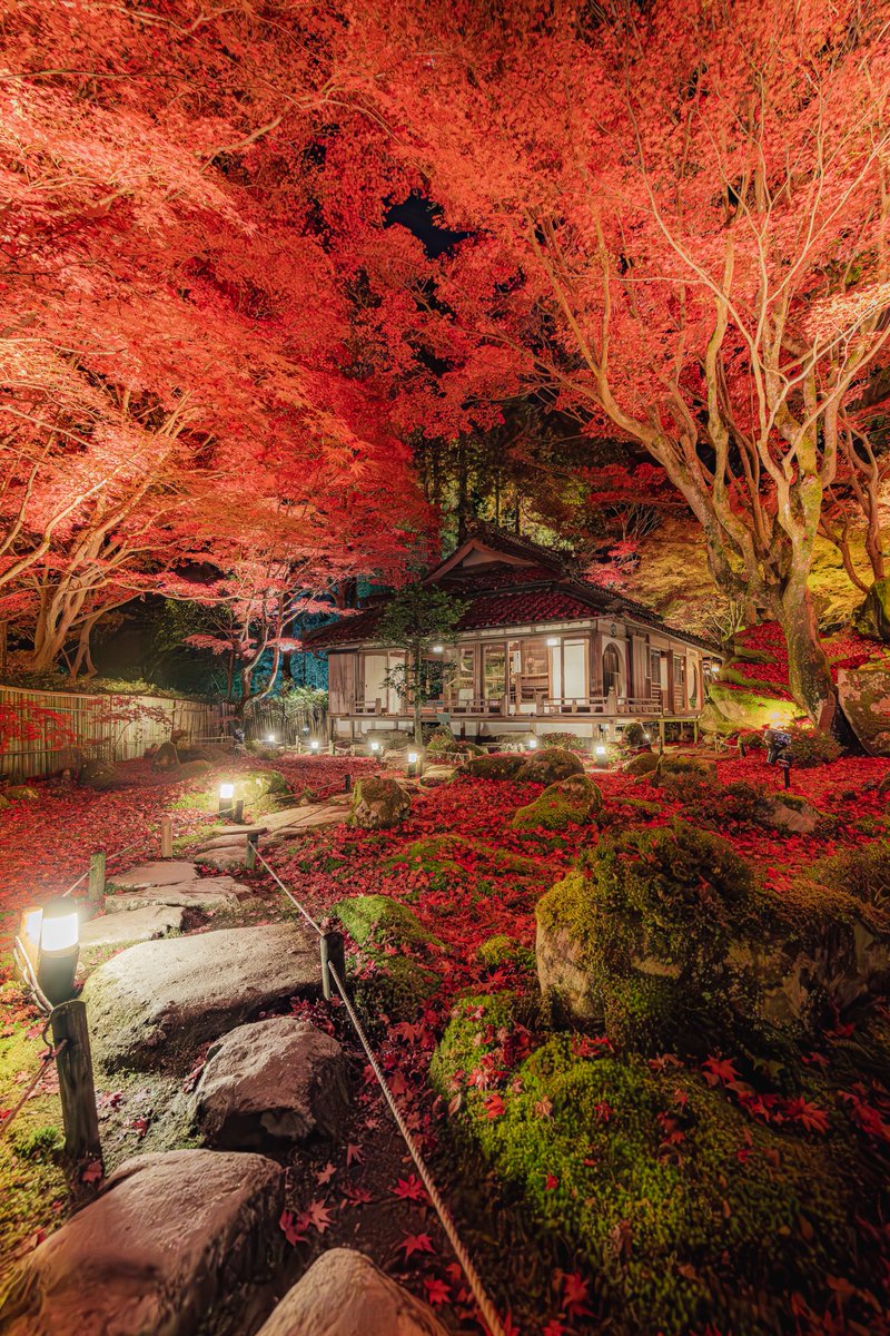赤く燃え上がる教林坊のライトアップ