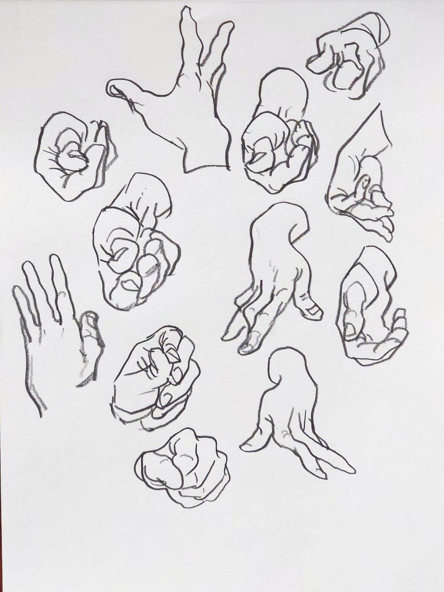 霊長類お兄さん (@okinawanogori) on Twitter photo 