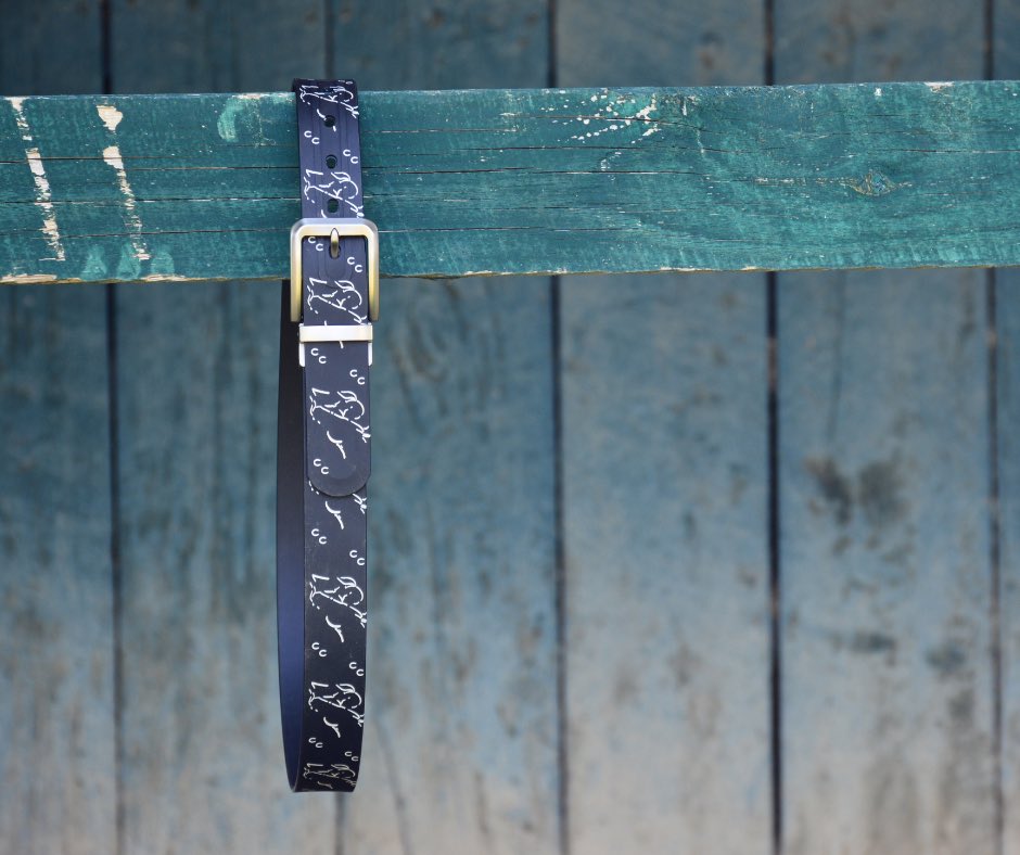 A moment between Jena and Arcangelo became a design you can wear every day.

The Silhouette Series Signature Belt is live.
Limited release of 36.
Proceeds support horseOlogy Encore.

Shop: jenaantonucci.com/product/silhou…