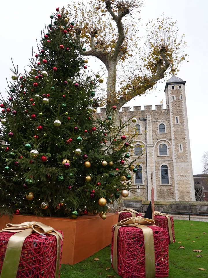 TowerOfLondon's tweet image. 🎄 Christmas at the Tower of London: A Storybook Adventure 📖

This winter, discover enchanting scenes of royal celebration, romance and adventure around our fortress 🏰

📆 Until 4 Jan 2026 (excl. 24-26 Dec &amp;amp; 1 Jan)
🎟️ Included in Tower admission 👉 bit.ly/44AS8ft