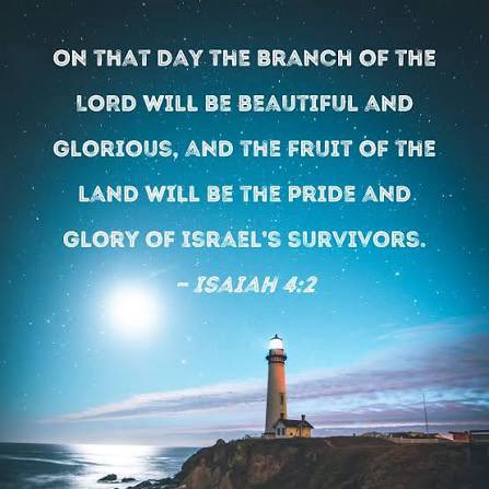 MikePIMarine's tweet image. Today’s First Reading is Isaiah 4:2-6 &amp;amp; is a passage about God&apos;s promise of future blessing, salvation, and protection after a period of judgment, focusing on the coming of the Messiah, &quot;the Branch of the Lord&quot;. 

May you know the Lord Jesus today &amp;amp; always. Amen.🙏🏻