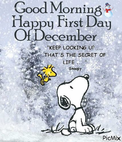 CathyAvon225's tweet image. #GoodMorningEveryone 
#HappyMonday
Wow! Today is the 1st of December. 
It is time to get ready for Christmas. 
It will be here before we know it. 
In the meantime, it is time for some coffee and work. 
Enjoy the day.
🌡️ 🌬️ 
#coffee #Mondaythoughts 
#haveaniceday #coffeetime