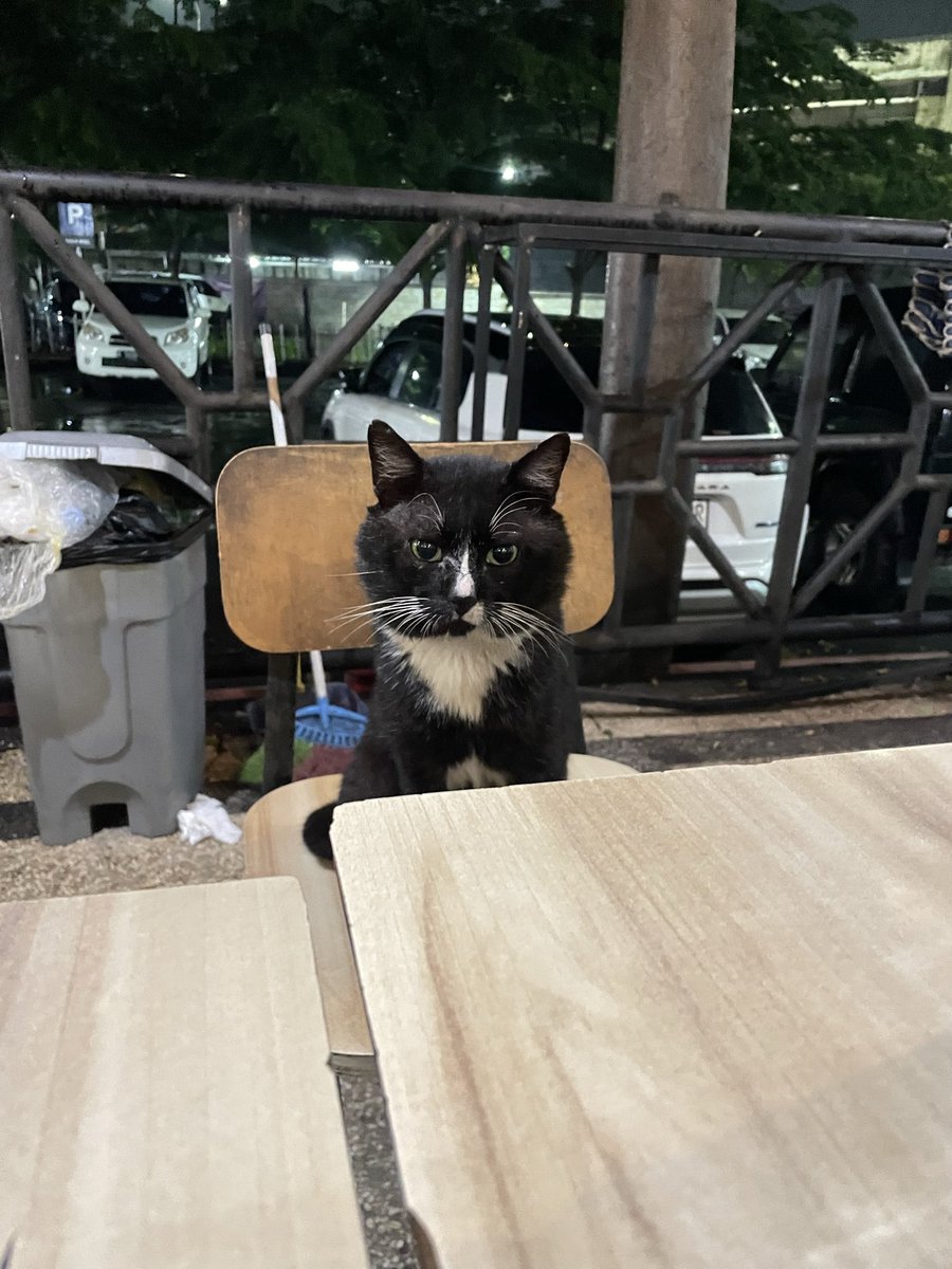 moringarielg's tweet image. disamperin cowo ganteng pas lagi beli mie ayam