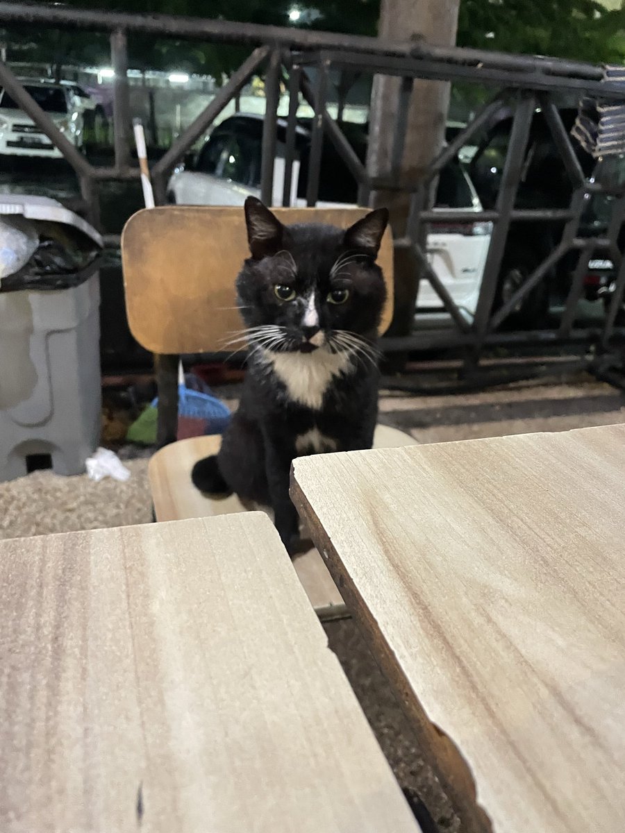 moringarielg's tweet image. disamperin cowo ganteng pas lagi beli mie ayam