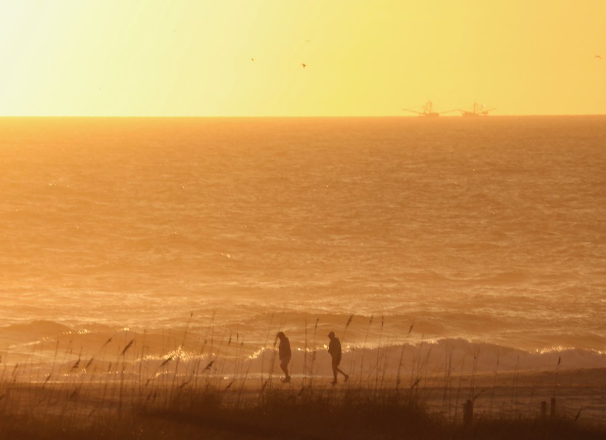 The Surf Station tweet media