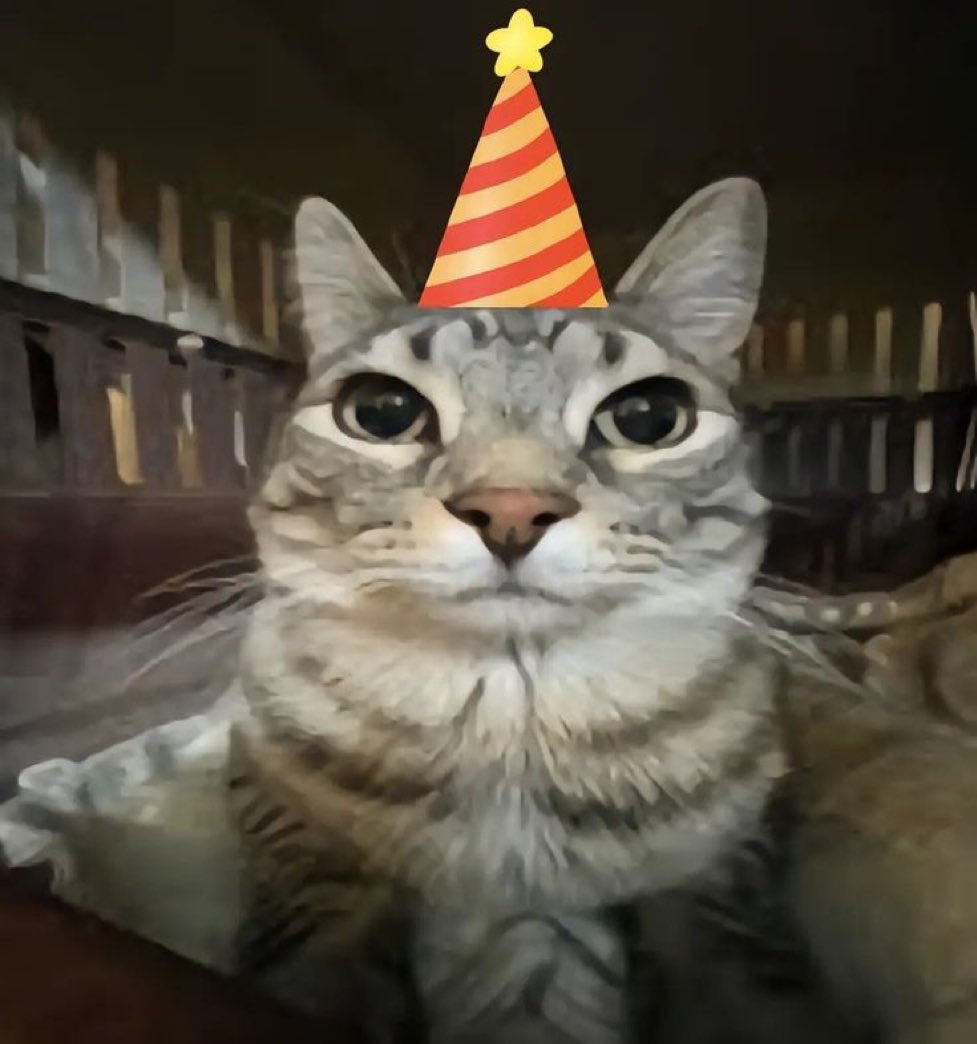 Matticow tweet media