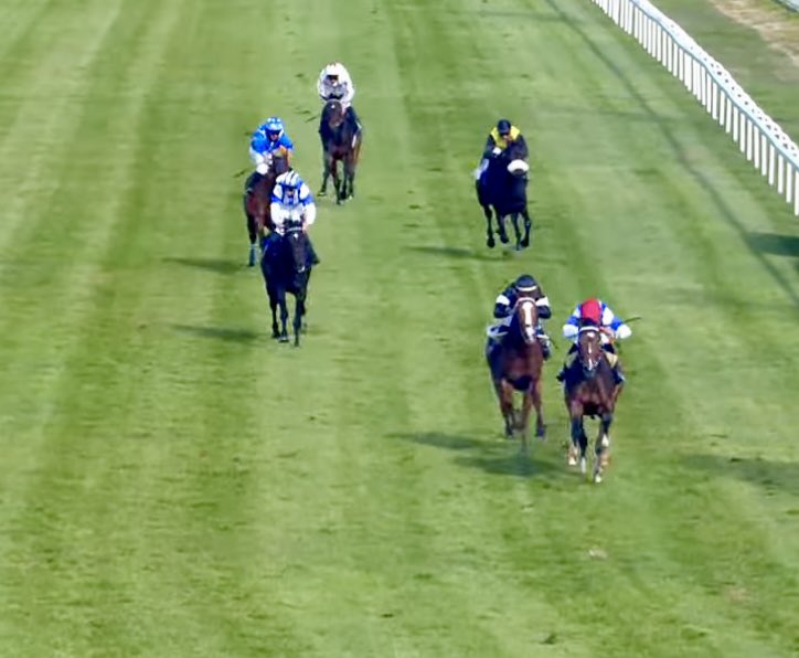 ArturoGrinda's tweet image. Enhorabuena Cuadra Mediterráneo por la victoria en el Premio Veil Picard. Gran 2º puesto para Toledano criado por nosotros. Único nacional que competía contra los importados. Esperamos al 2026 para verle de nuevo y al resto de la potrada N23 y los yearlings N24 en entrenamiento.