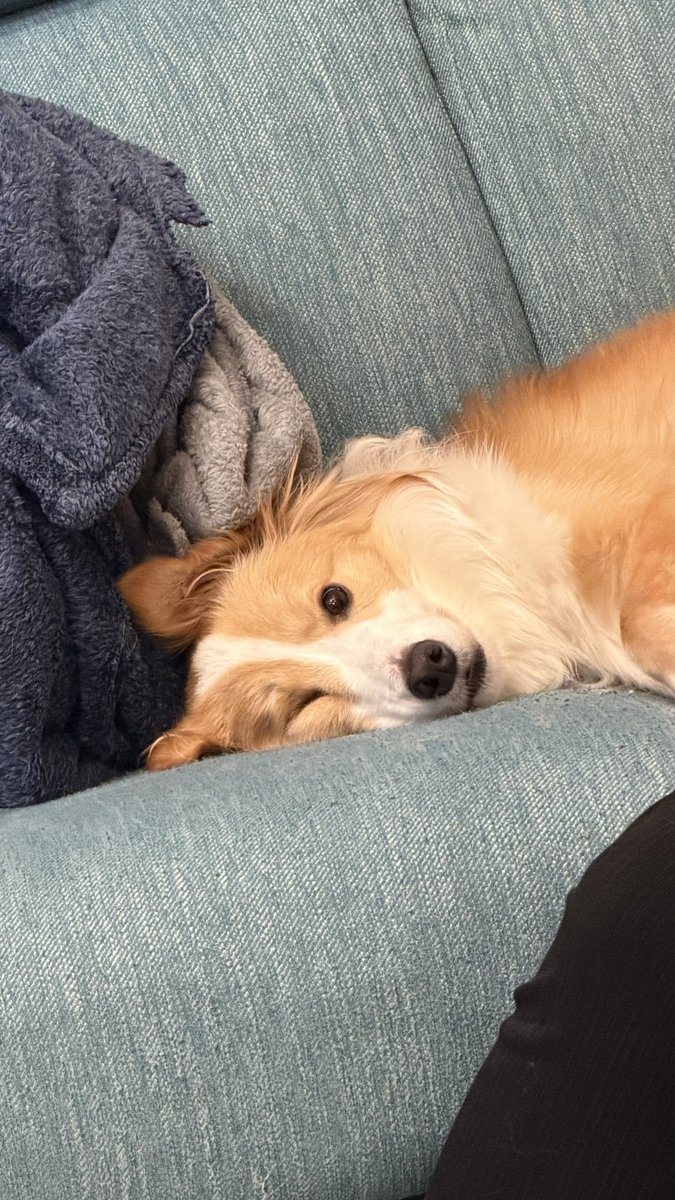 スヤァー
チラッ