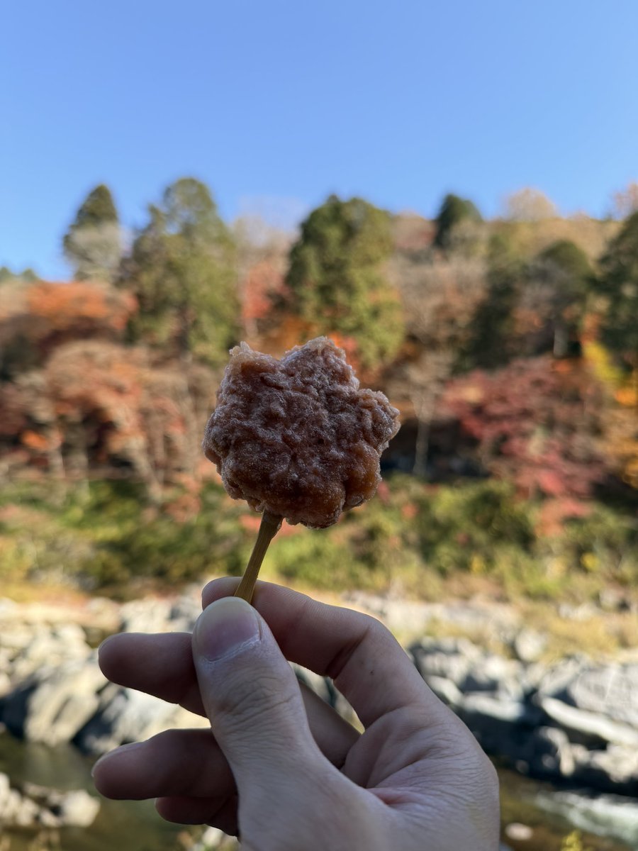 N30_jp's tweet photo. 香嵐渓の食べ物も最高でした!!✨️🤤 https://t.co/pyT2flCy8O