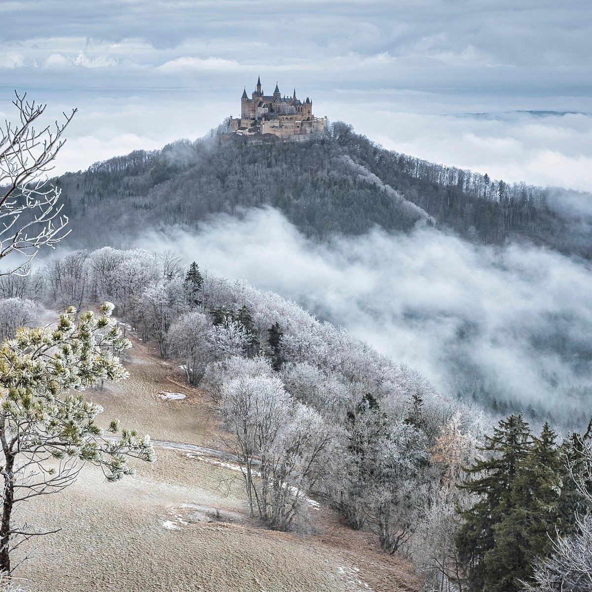 🔆🌞☀️🌳❄️🏰⛰️✨💞