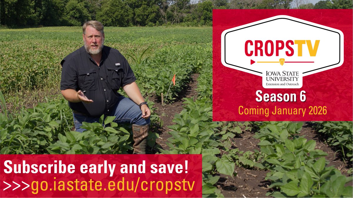 Not only is it Cyber Monday, but it's also the last day to snag your CropsTV Season 6 (launches Jan. 2026) subscription at our early bird price yet! Get crop production info at your finger tips to watch anywhere/anytime! 🔗 shop.iastate.edu/extension/farm… #CropsTV #ISUCrops