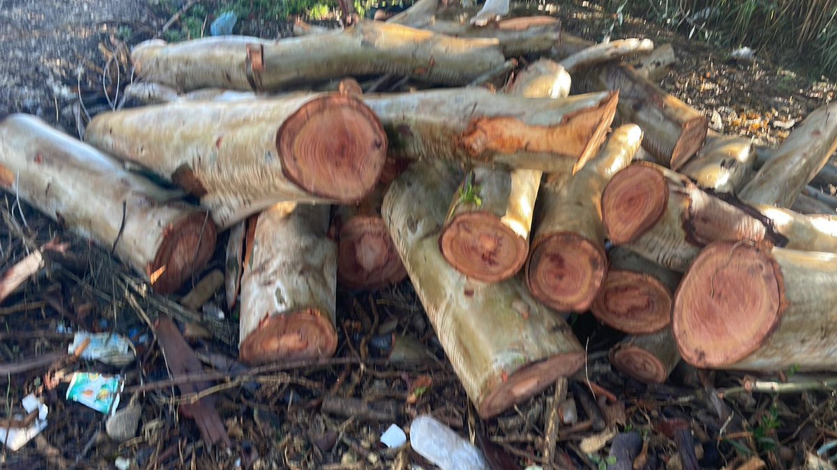 🔸| "الليطاني" بالمرصاد للمعتدين: ضبط أخشاب مسروقة وتوقيف متورط في ارزي

في متابعة حثيثة لجريمة قطع الأشجار في حرم نهر الليطاني (منطقة ارزي)، أثمرت تحقيقات "المصلحة الوطنية لنهر الليطاني" عن نتائج سريعة:

📍تحديد مكان تخزين الأشجار المقطوعة في منطقة "كوثرية الرز" لدى أشخاص من