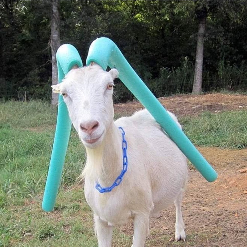 shitpost_2077's tweet image. 