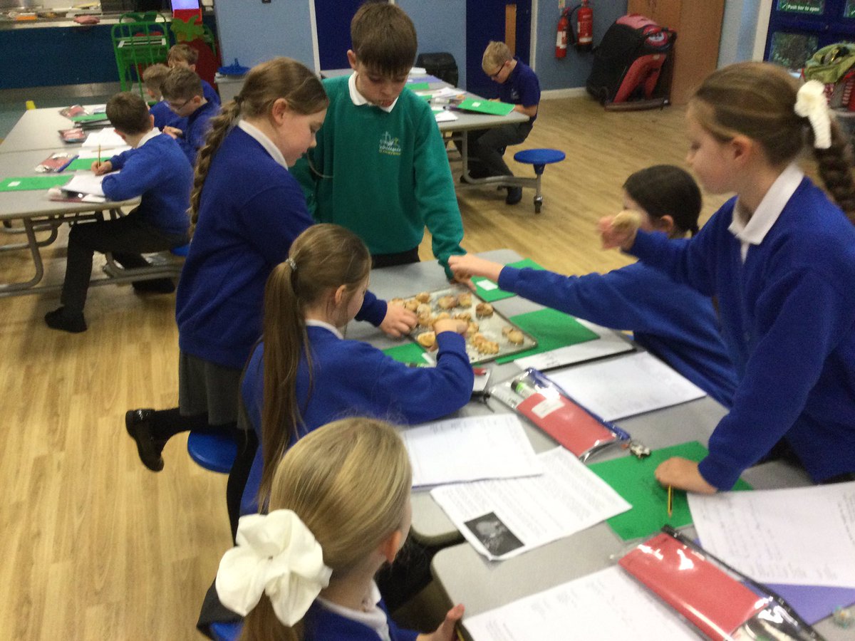 WhitegateOak tweet media