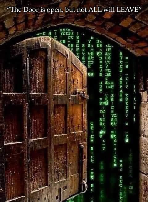 HomareApple's tweet image. Wake up, Neo…
The Matrix has you…
Follow the white rabbit🕳🐇⌛
Take the red pill🍎✨
And find Trinity💚

The door is open,but not ALL will LEAVE.
💞🧬🔗💫

 💚🗝️✨
“Love is the genesis of everything.”
#Matrix
#MatrixRessurections