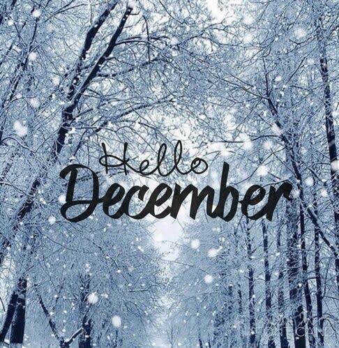 umsandyzu's tweet photo. Hello December ♥️

December is the final chapter of the year to finish it with discipline, focus, and belief.
You’re not late. You’re leveling up.
Let the last month be your strongest. 🚀✨

May December gives happiness for all the people in the world ❤️🥰 

#December https://t.co/sYJYznmlRO