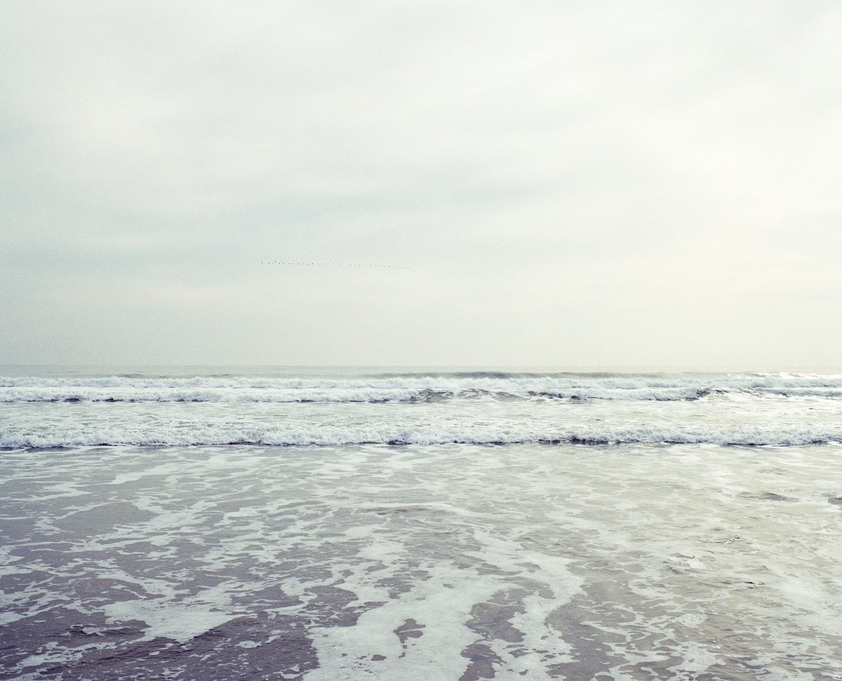 明日から冨永晋写真展『fourteen years after』が始まります。
 今週の在廊予定。
12/2 火曜 終日在廊 
12/3 水曜 16:00~19:00
12/4 木曜 終日在廊
12/5 金曜 終日在廊
12/6 土曜 14:00~19:00
12/7 日曜 16:00~19:00 

よろしくお願いします！  

tokyobrightgallery.com/contents-access

Photo 2025.3.11 南相馬