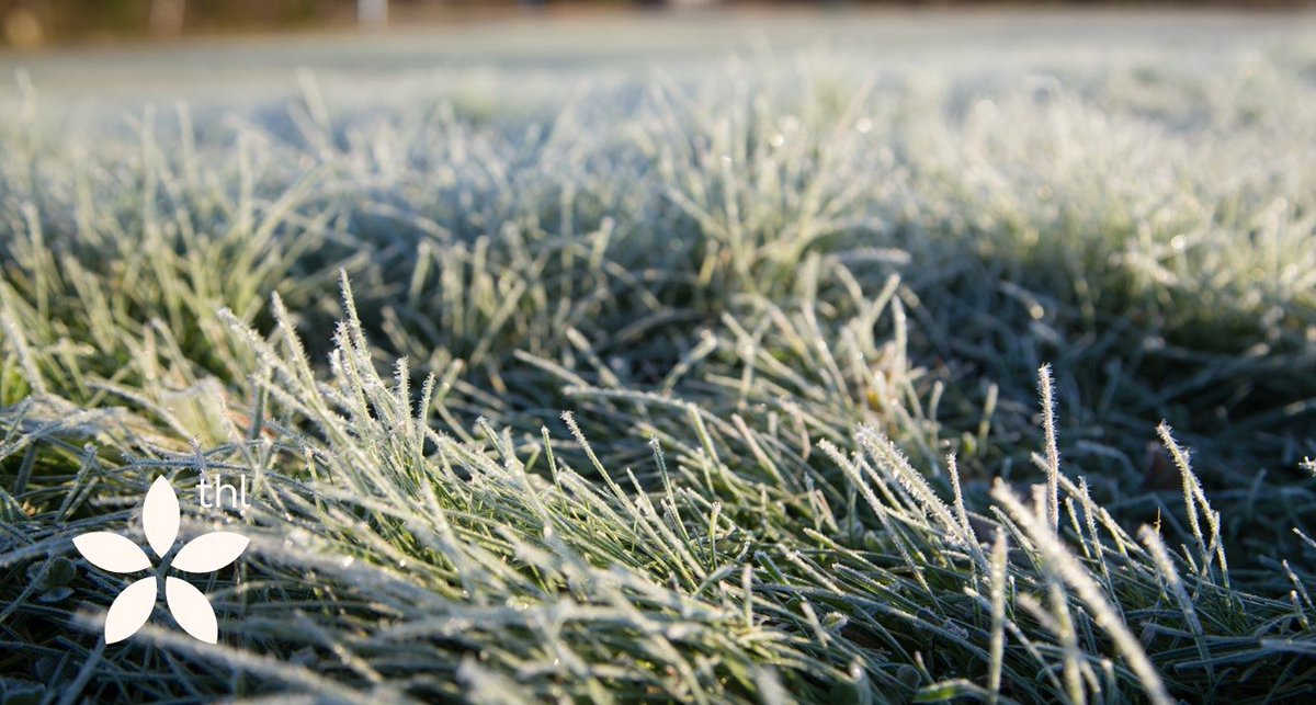 Anne Salonen tweet media