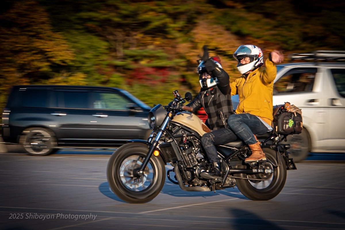 ちーちゃん (@chi_rebel_LASA) / Posts / X