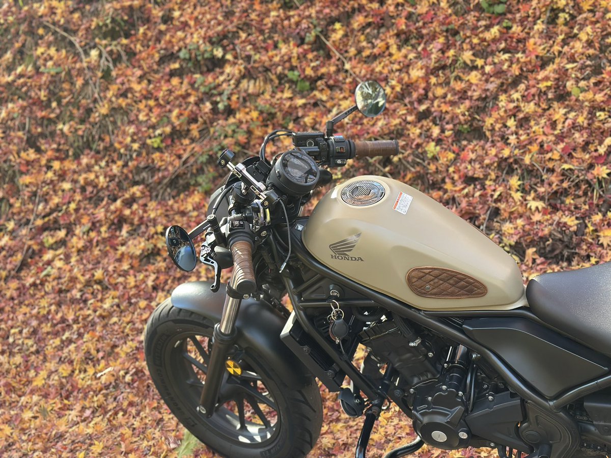 ちーちゃん (@chi_rebel_LASA) / Posts / X