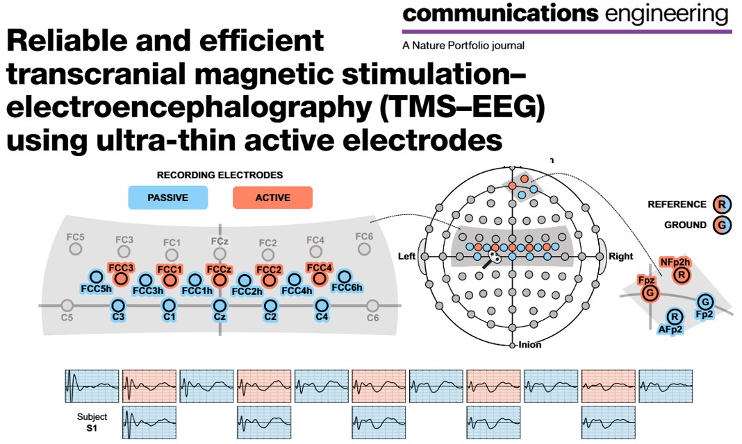 gtec_BCI's tweet image. 🚀 New #TMS–#EEG study: ultra-thin active electrodes = fast setup + reliable signals.

Matched passive electrodes in 10 participants with high similarity &amp;amp; stable responses after ~20–30 trials. A step toward faster, scalable TMS–EEG research.

🔗 Paper: nature.com/articles/s4417…