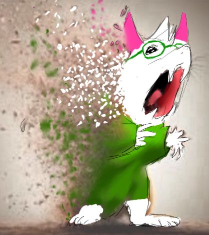 Gato mota✨️🍃 tweet media