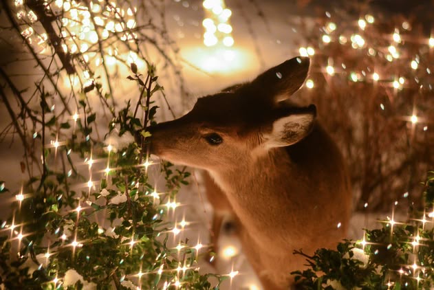 IsartMysoul's tweet image. 