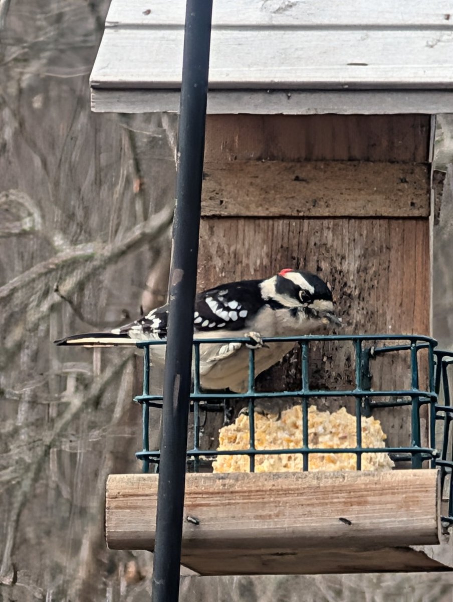 Good morning everyone