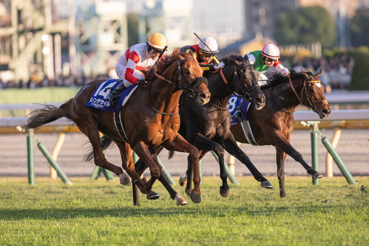 ダノンデサイル