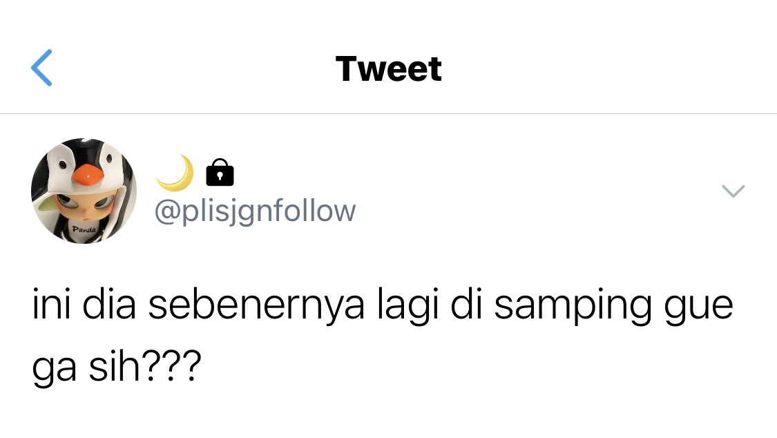 ael. AU📌 tweet media