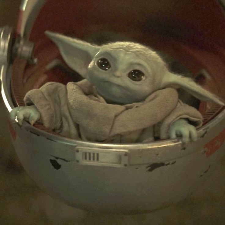 acelirium's tweet image. let’s have eyes full of wonder and joy with papa