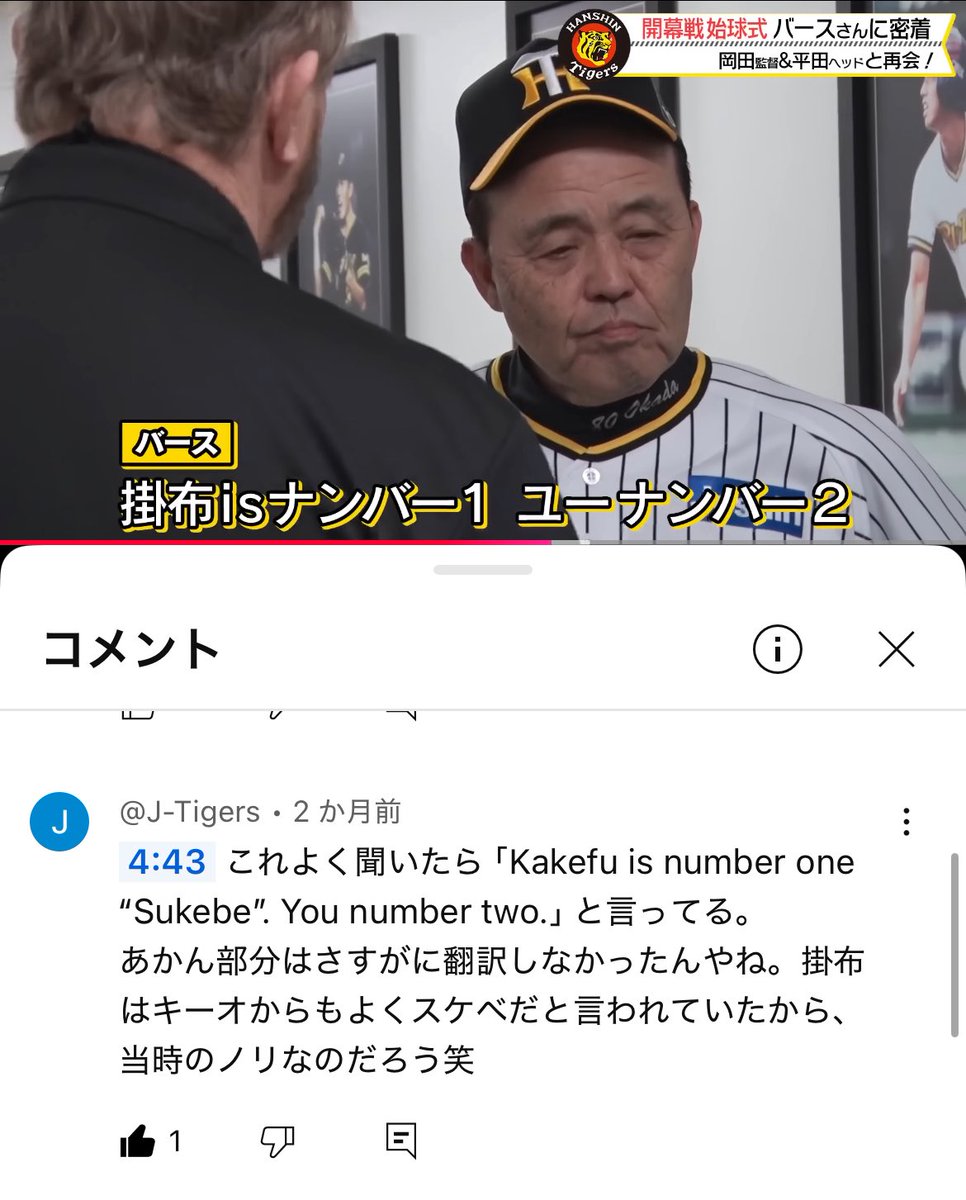 鶏肉ちきんちゃん💚 (@wombat_echizen) / Posts / X