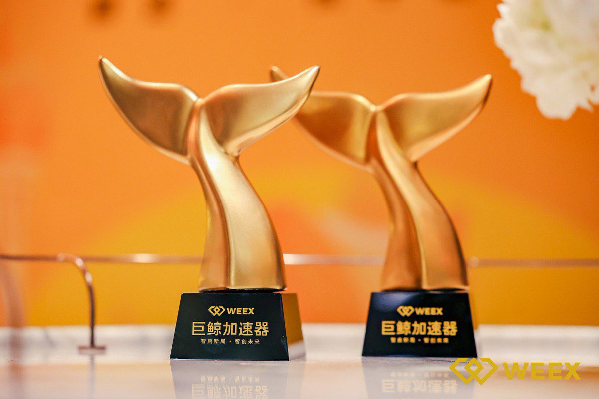 Jess（duomi.uk） tweet media