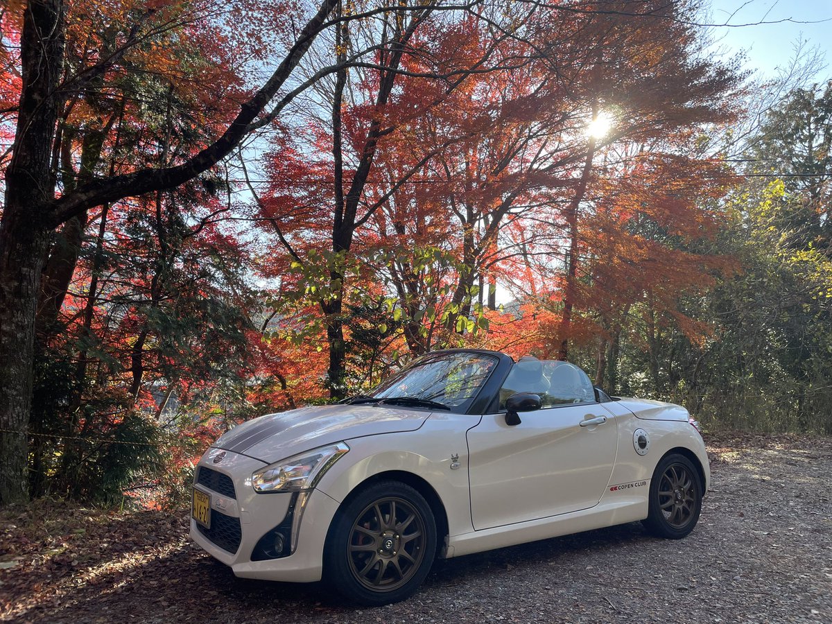 Byper_yam's tweet photo. #三河湖 #紅葉 #TRG
紅葉🍁が赤く綺麗だったよ。 https://t.co/13IXA8iAOr