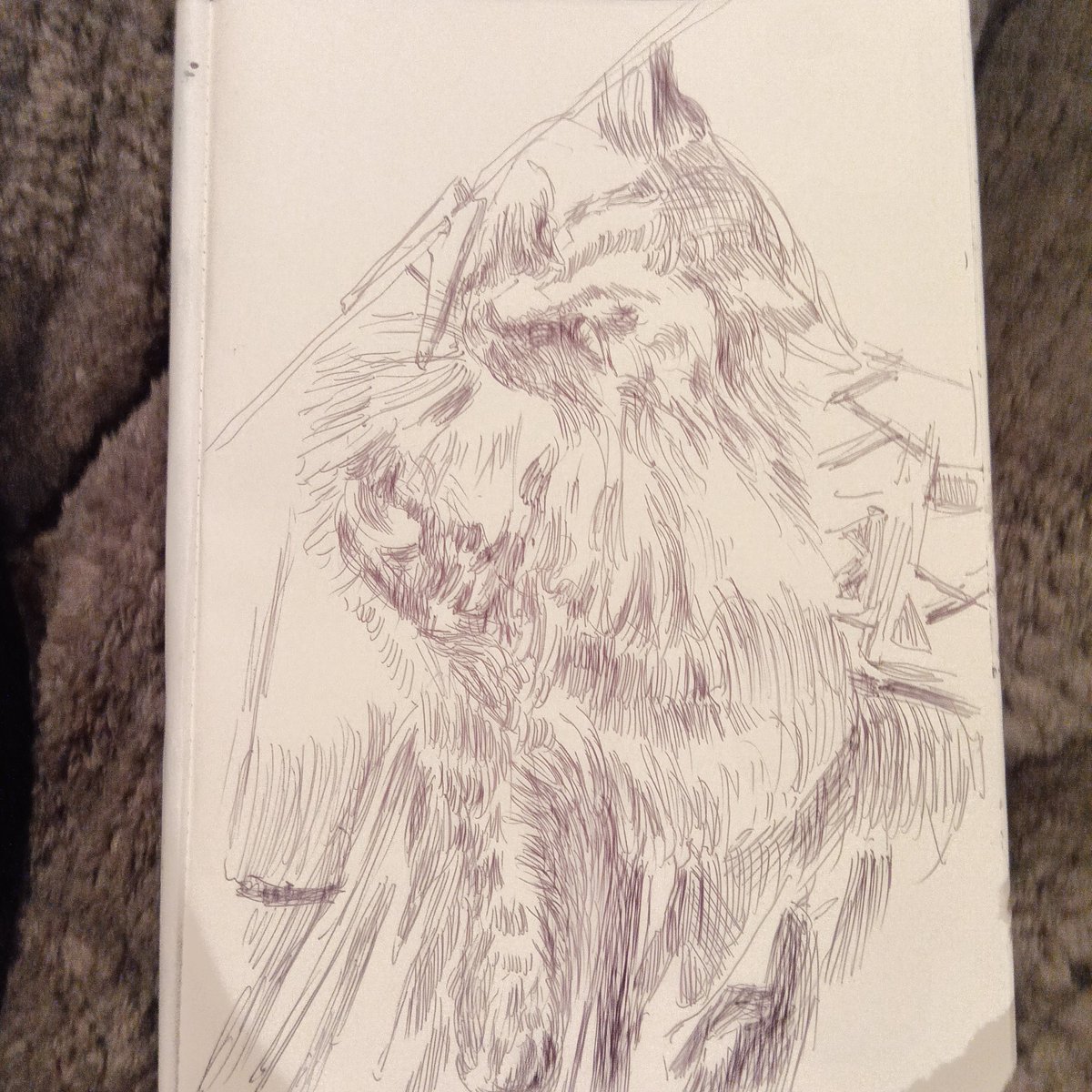 <a href="/kotyachamamka/">Матінка Котяча і чуть-чуть собача</a> I'm in the middle of drawing a cute cat.