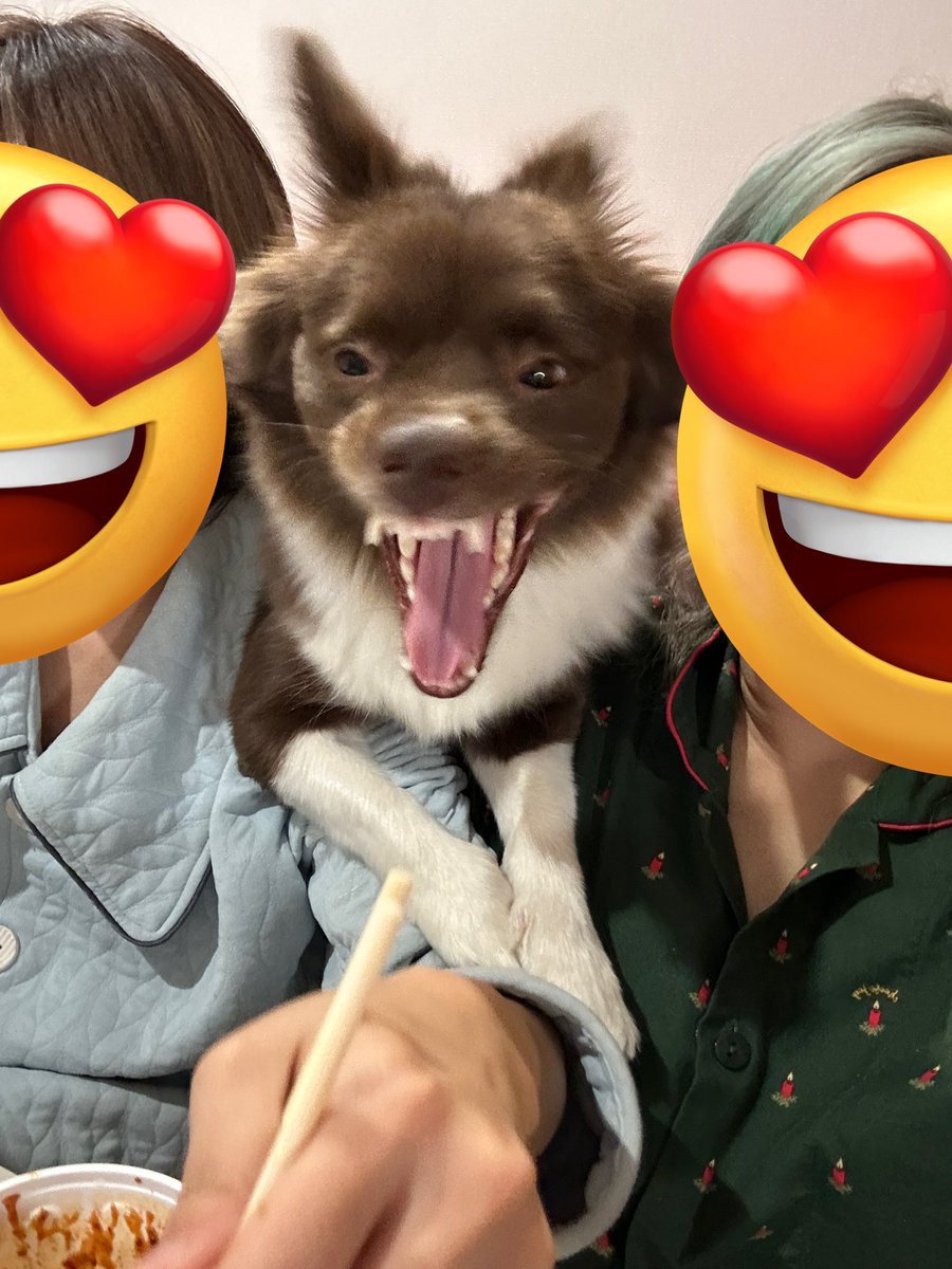 저녁 먹는데 갑자기 우리 어깨 위에 올라와서 호통침 왜..?