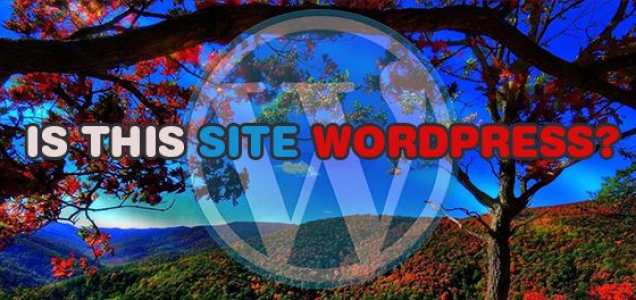 websticknl's tweet image. Curious if a Site Uses WordPress? Here’s How to Tell 🚀    webstick.blog/how-tell-if-si…   #WordPressCheck #FindWordPress #WebsiteTech #WPDetection #CMSCheck #SiteInspector #WPBeginner