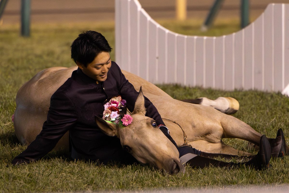 妖霊 (@kingsyobo_n) / Posts / X