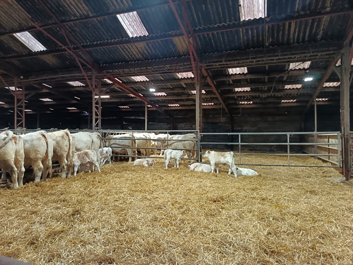 📅Le 28 novembre, rencontre parlementaire à La ferme pédagogique Mannessiez. Merci 🙏<a href="/amel_gacquerre/">Amel GACQUERRE</a> pour votre écoute 👂et vos échanges aux côtés des éleveurs et des représentants de la filière #élevage &amp; #viande de la Région <a href="/hautsdefrance/">Région Hauts-de-France</a>. <a href="/OceaneDerecourt/">Océane DERECOURT</a>  <a href="/Interbev_fr/">Interbev</a>