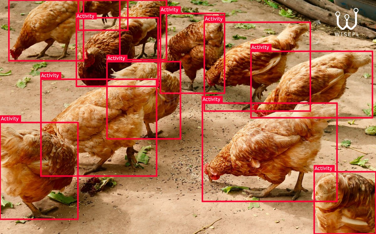 Wisepl_'s tweet image. Precision Annotation for Poultry Health Monitoring

Healthy poultry flocks need reliable AI. We deliver high-quality, expert-verified annotations for poultry health monitoring systems

#DataAnnotation #PoultryAI #Agritech #ComputerVision  #MachineLearning #AIAnnotations #Wisepl