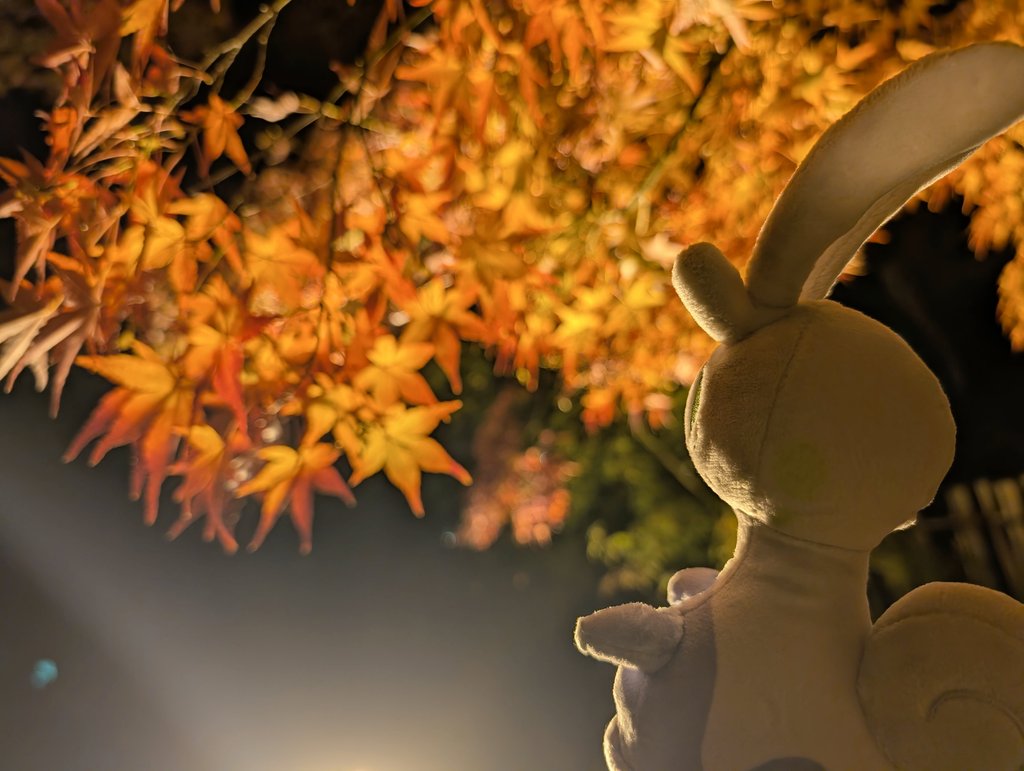 ぬめぬめが現れた