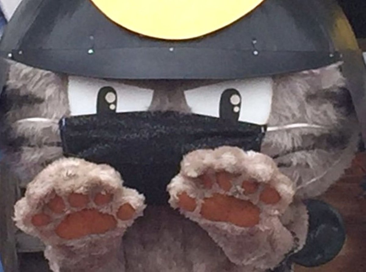 インフルエンザが流行ってるようニャ💦 しっかり手洗いして守りを