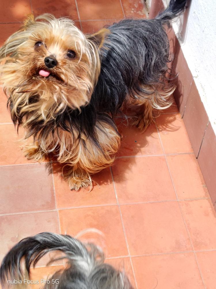 FrancoMiceli12's tweet photo. Hola hermosos #nadiedicenada https://t.co/eD0t7yuV5G