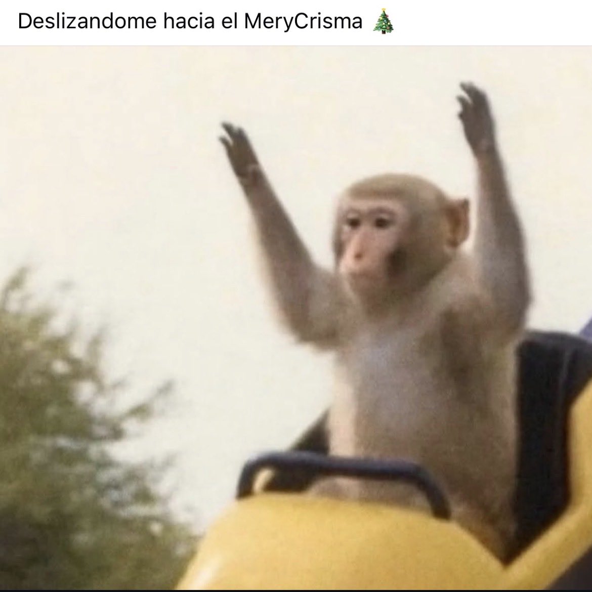 JossefinaaBen's tweet image. 🙌🏻