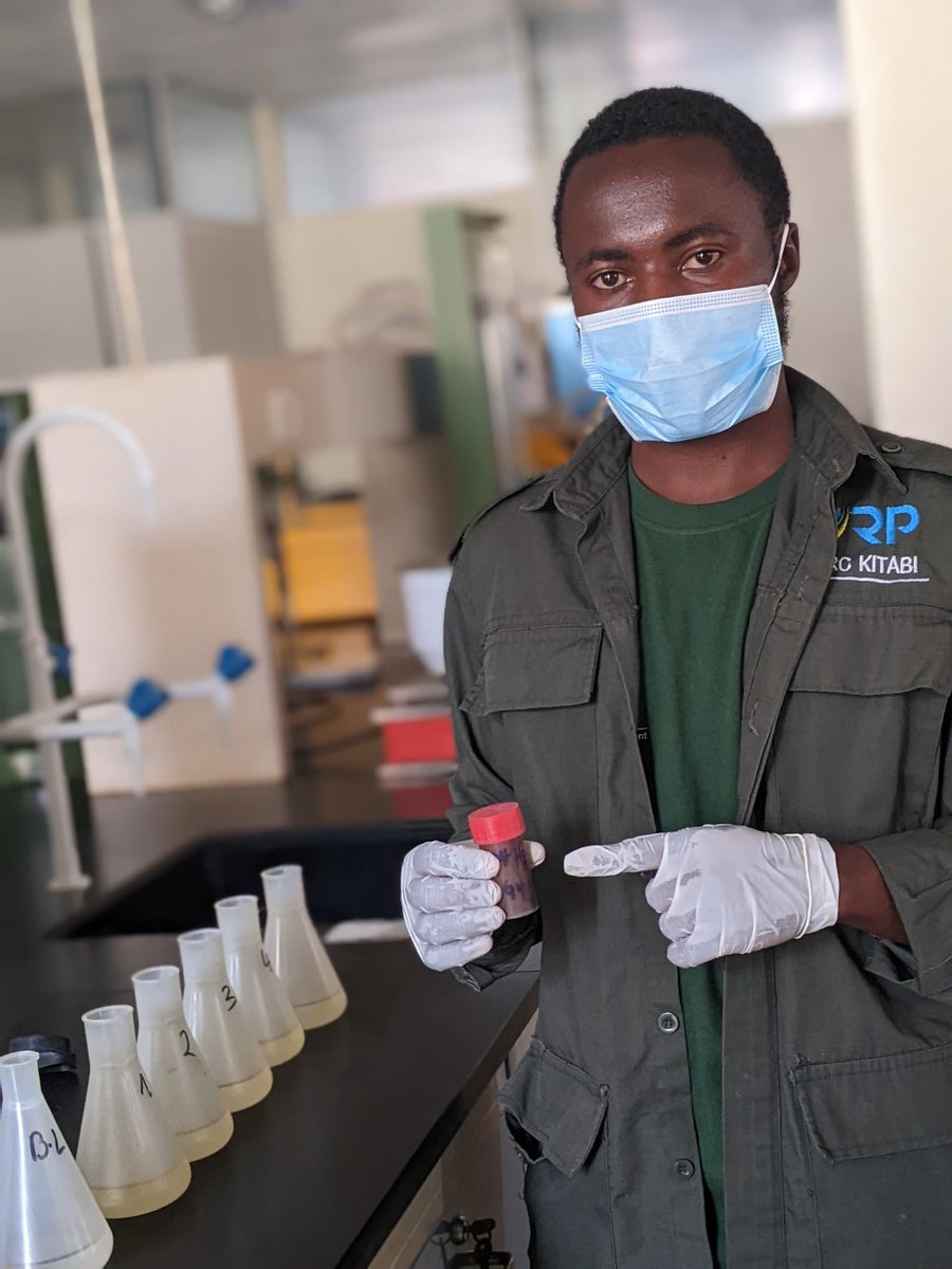 Agriculturenott's tweet image. Today I had an amazing opportunity to work in the Soil Analysis Laboratory at UR Huye. I learned how soil samples are collected,prepared,and tested to understand their nutrients and quality. It was a great hands-on experience that will help me improve my knowledge in agriculture