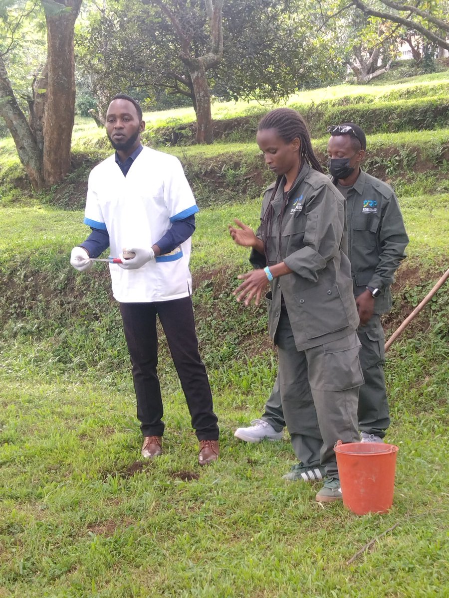 Agriculturenott's tweet image. Today I had an amazing opportunity to work in the Soil Analysis Laboratory at UR Huye. I learned how soil samples are collected,prepared,and tested to understand their nutrients and quality. It was a great hands-on experience that will help me improve my knowledge in agriculture
